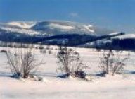 Pobyt v zimní přírodě Pobyt v zimní přírodě: Zima je v plném proudu. Naše návštěvy přírody v…