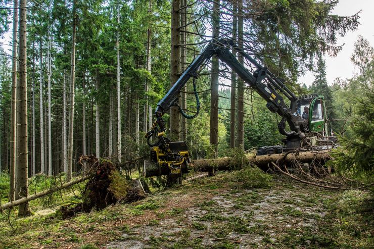 zobrazit detail snímku: Odklízení následků vichru a deště Krnap