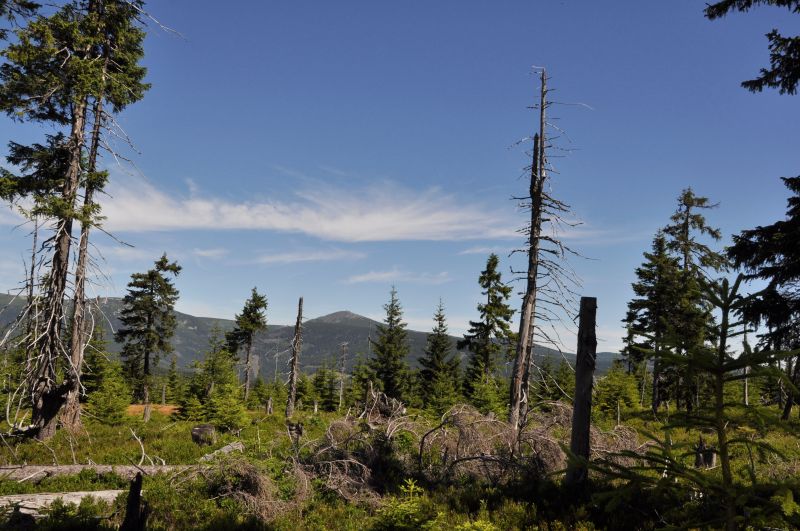 Černá hora - u Hubertovy vyhlídky - klikněte pro zobrazení detailu Černá hora - u Hubertovy vyhlídky - klikněte pro zobrazení detailu