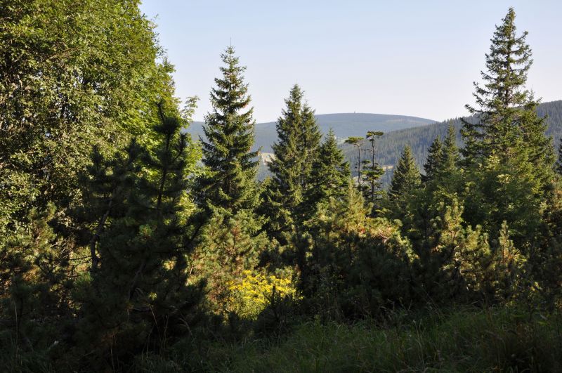 Krkonoše - cestou do Zeleného dolu - klikněte pro zobrazení detailu