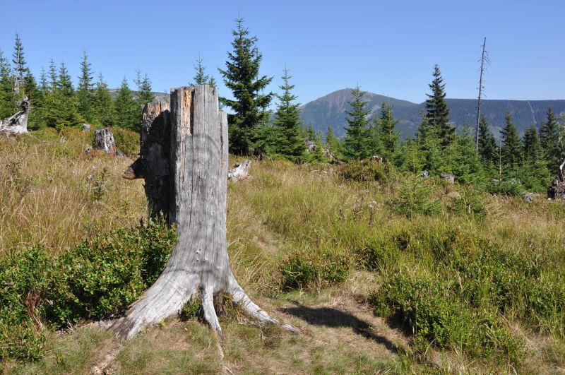 Krkonoše - výhled z Hnědého vrchu - klikněte pro zobrazení detailu