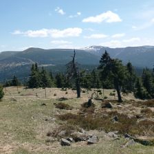 Krkonoše - Pohled od Moravské boudy