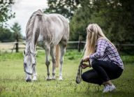Když se srdce potká s vědou: Koně nám pomáhají být lepšími lidmi Když se srdce potká s vědou: Koně nám pomáhají být lepšími lidmi: Ráno není nic lepšího, než kdy vás probudí vlhký…