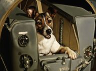 Lajka zemřela, aby nám otevřela vesmír Lajka zemřela, aby nám otevřela vesmír: Píše se 3. listopad 1957. Svět se sotva vzpamatoval…