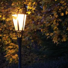 Když se instinkty nočního hmyzu srazí s LED světlem Když se instinkty nočního hmyzu srazí s LED světlem