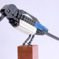 LEGO birds - klikněte pro zobrazení detailu