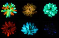 Budeme doma i na ulici svítit barevnou luminiscencí místo LED svítidel? Budeme doma i na ulici svítit barevnou luminiscencí místo LED svítidel?: Ano už dneska můžeme zejména v dětských pokojích…