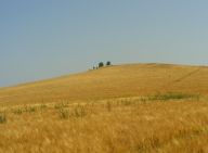 Velké širé rodné lány jižní Moravy Velké širé rodné lány jižní Moravy: Kdo by neznal lyrickou báseň Josefa Václava Sládka…