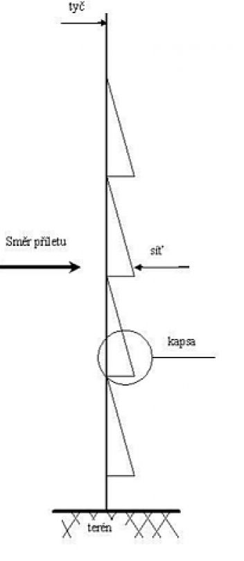 Bokorys sítě - klikněte pro zobrazení detailu