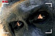 Odhalení - reality show trochu jinak Odhalení - reality show trochu jinak: V pondělí 7. listopadu 2005 v 9 hodin začne