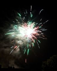 Psi a kočky versus silvestrovské oslavy Psi a kočky versus silvestrovské oslavy : Pro nás jsou to většinou chvíle plné zábavy, radosti…