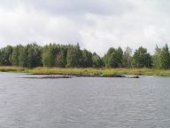 Copak se to děje na Lipně II aneb rozhovor s RNDr. Monikou Krolovou PhD. Copak se to děje na Lipně II aneb rozhovor s RNDr. Monikou Krolovou PhD.: Zprostředkovat čtenářům hromadu hotové práce a fůru…