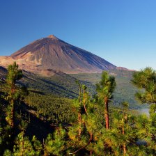 Tenerife