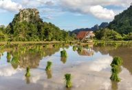 Rýže + nanotechnologie = konec hladu ve světě a zdravější životní prostředí Rýže + nanotechnologie = konec hladu ve světě a zdravější životní prostředí: Rýže je základní potravina, která denně sytí…