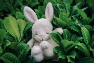 5 tipů na nákup ekologických hraček 5 tipů na nákup ekologických hraček : Děti rostou rychle a během pár let po nich zůstane…