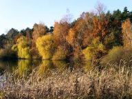 Podzim Podzim: Začal nám podzim. Ve školách děti kreslí barevné…