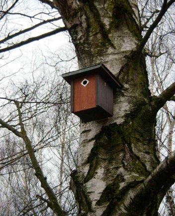 Ptačí budka - klikněte pro zobrazení detailu