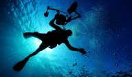 Potápění nebo šnorchlování?: Obě tyto sportovní aktivity jsou oblíbenými…