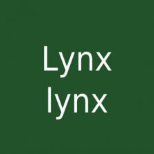 Lynx lynx