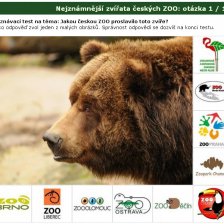 Poznávačka: Nejznámnější zvířata českých ZOO