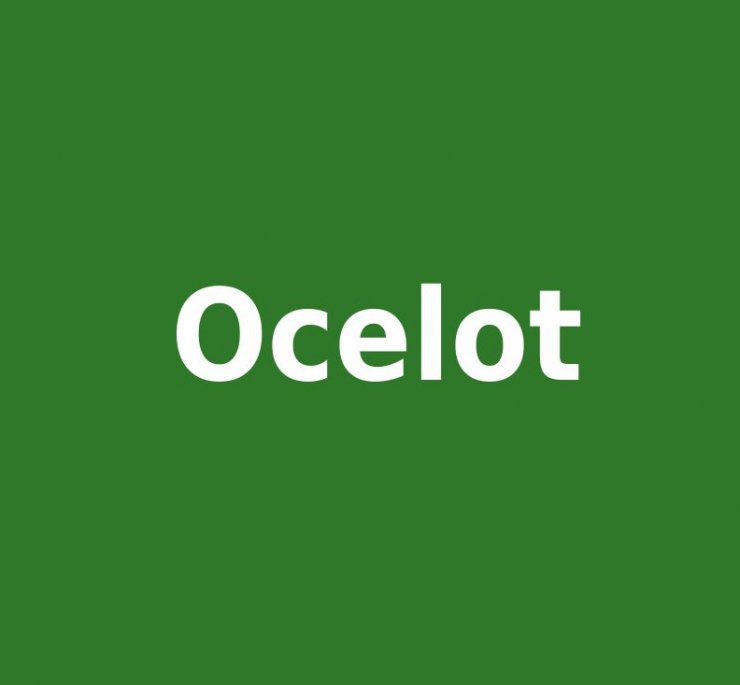 zobrazit detail snímku: Ocelot velký