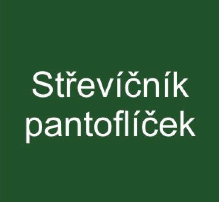 zobrazit detail snímku: Střevíčník pantoflíček