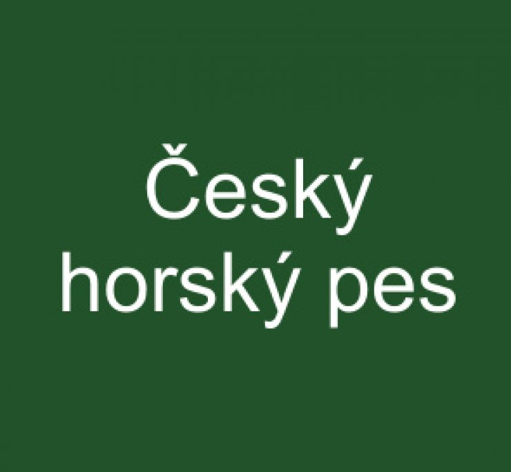 zobrazit detail snímku: Český horský pes