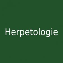 Herpetologie