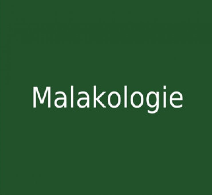 zobrazit detail snímku: Malakologie