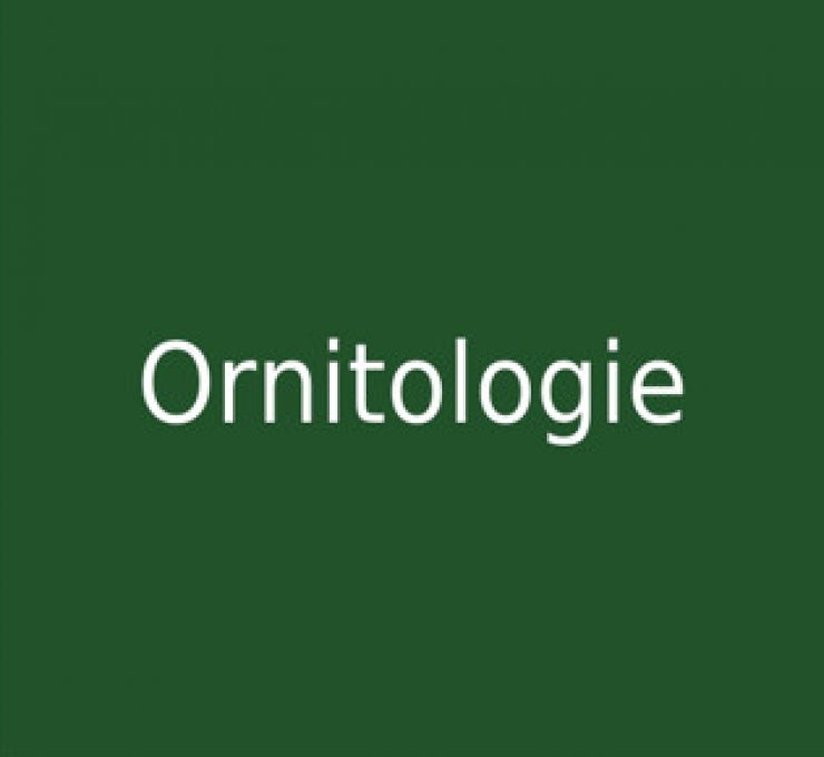 zobrazit detail snímku: Ornitologie