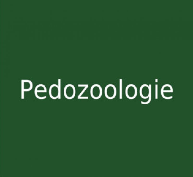 zobrazit detail snímku: Pedozoologie