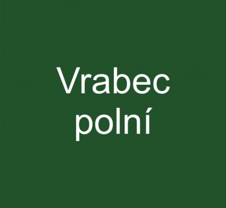 zobrazit detail snímku: Vrabec polní