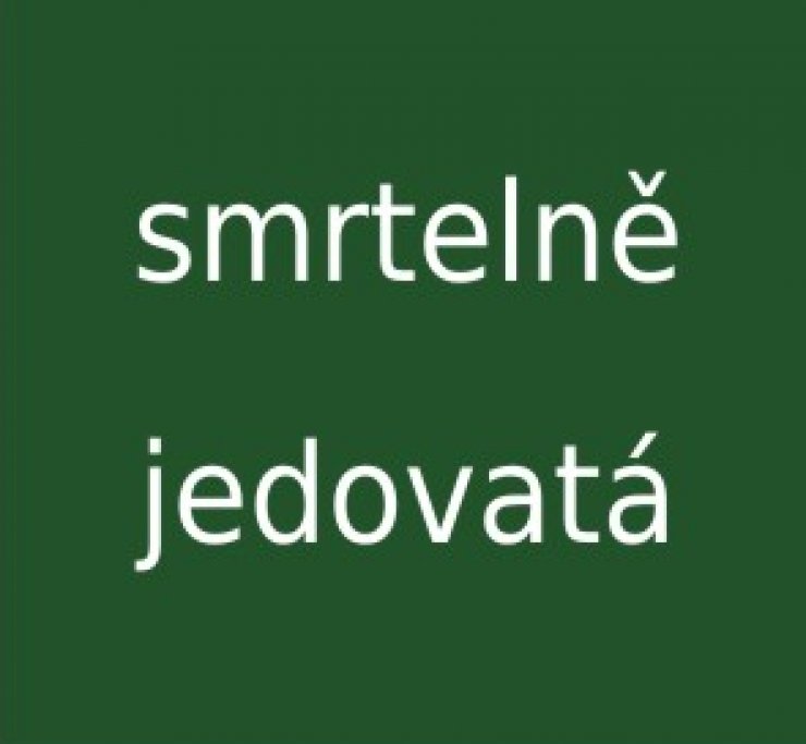 zobrazit detail snímku: Smrtelně jedovatá houba