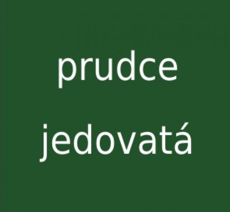 zobrazit detail snímku: Prudce jedovatá houba