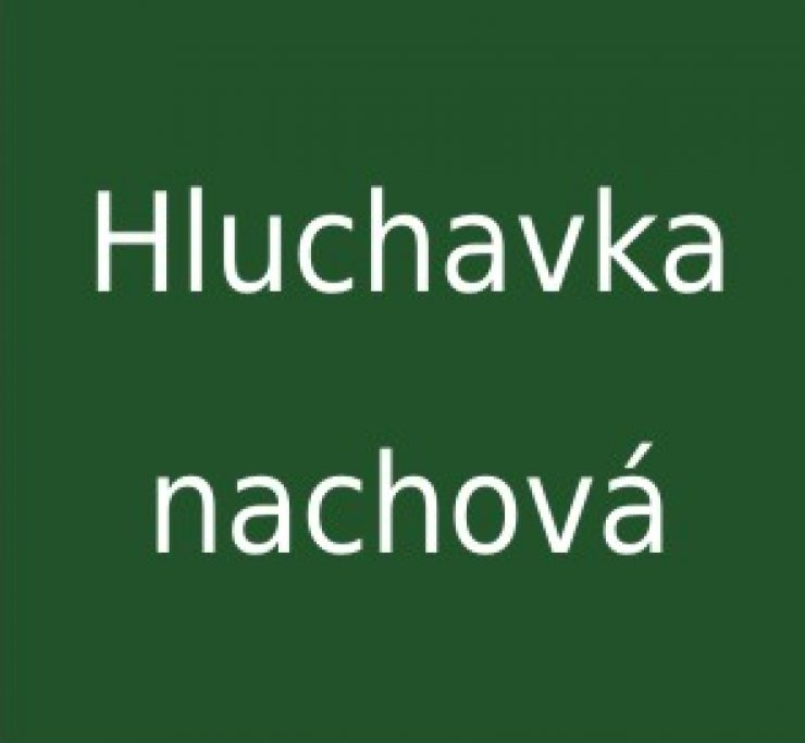 zobrazit detail snímku: Hluchavka nachová