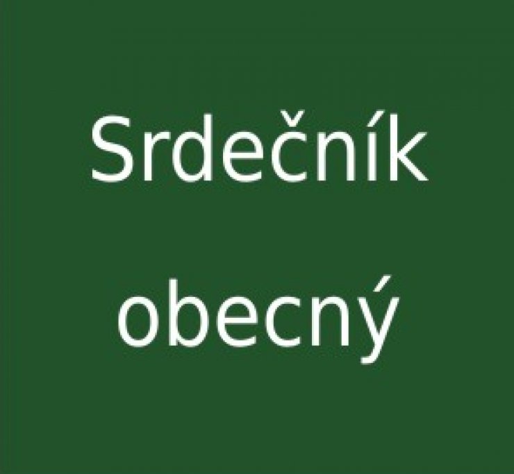 zobrazit detail snímku: Srdečník obecný