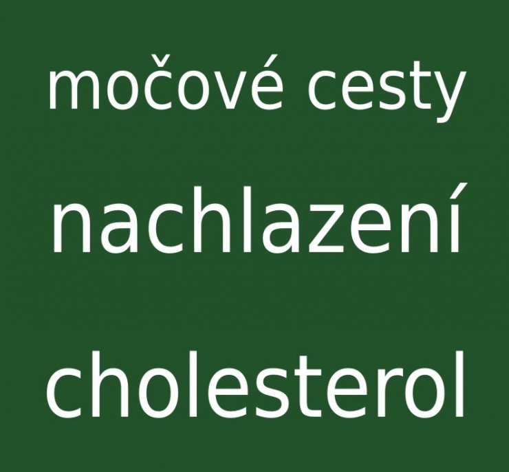 zobrazit detail snímku: Močové cesty, cholesterol, nachlazení