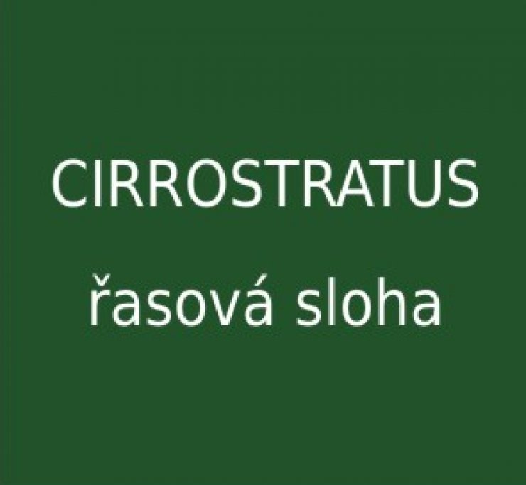 zobrazit detail snímku: Cirrostratus