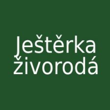 Ještěrka živorodá