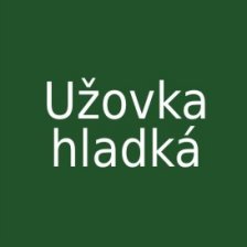 Užovka hladká