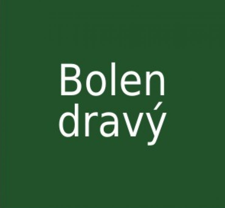 zobrazit detail snímku: Bolen dravý