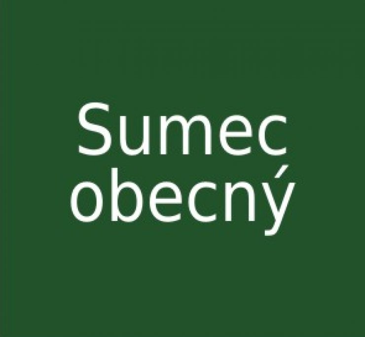 zobrazit detail snímku: Sumec obecný