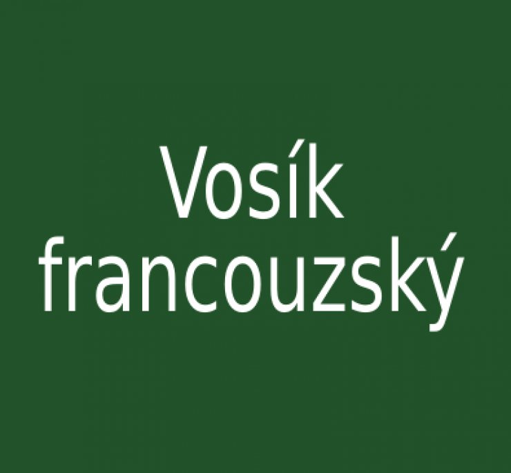 zobrazit detail snímku: Vosík francouzský