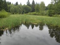 Česká Kanada aneb na výlet s trpaslíky Česká Kanada aneb na výlet s trpaslíky : Někdy prostě nevíte, co s nimi. Ne, nejedná se o…