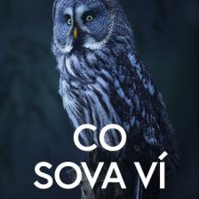 Obálka knihy Co sova ví - Nové poznatky o nejtajemnějších ptácích světa