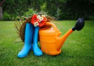 Naplánujte si úspěšný rok s rostlinami: 5 rostlin, které ocení péči na podzim a v zimě Naplánujte si úspěšný rok s rostlinami: 5 rostlin, které ocení péči na podzim a v zimě: Každý pěstitel, ať zkušený nebo začínající, který má…