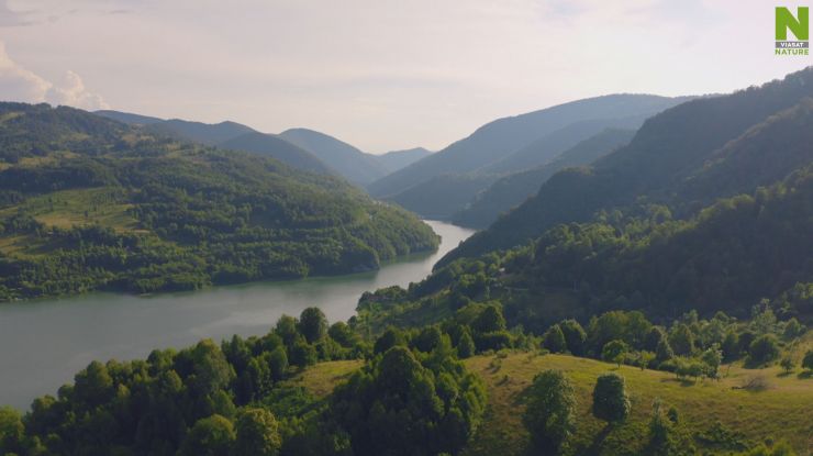 zobrazit detail snímku: Evropská divočina.