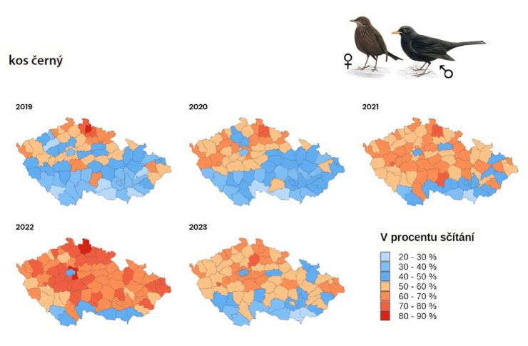 zobrazit detail snímku: Změny rozšíření kosa černého mezi lety 2019 a 2023.