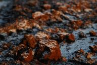 Neviditelný život v půdě Neviditelný život v půdě: Při pohledu do volné přírody, na lány pšenice,…