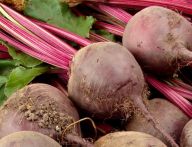 Červená řepa – omlazující zázrak Červená řepa – omlazující zázrak: Všichni si jistě pamatujeme červenou řepu ze…